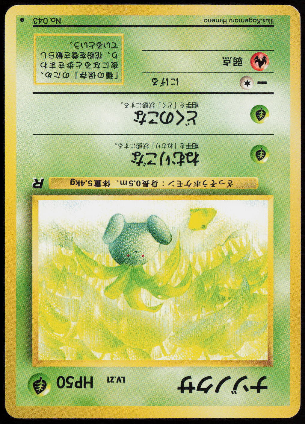 Oddish Common Rocket Gang  LP