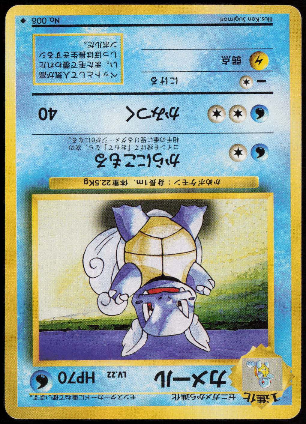 Wartortle Uncommon Expansion Pack  NM