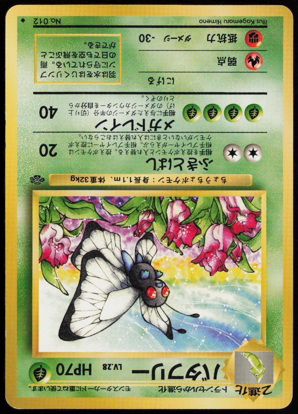Butterfree Uncommon Pokemon Jungle  LP