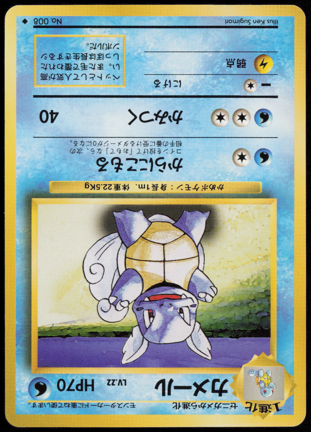 Wartortle Uncommon Expansion Pack  NM