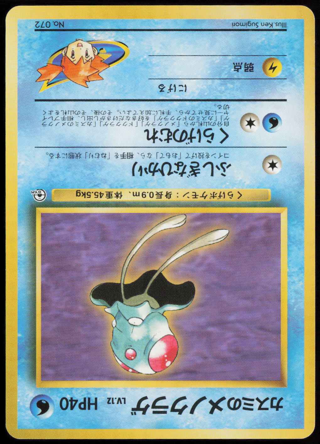 Misty's Tentacool  City Gym Decks  LP