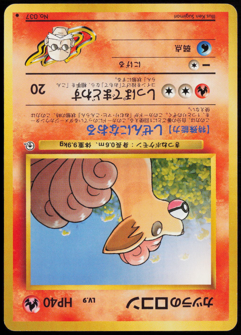 Blaine's Vulpix (LV.9)  City Gym Decks  LP