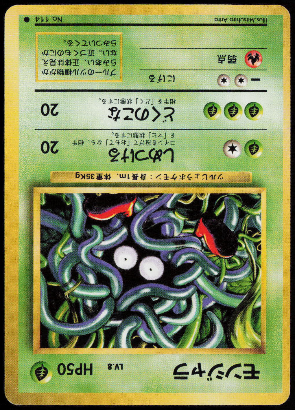 Tangela Common Expansion Pack  NM