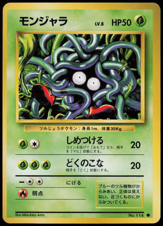 Tangela Common Expansion Pack  NM