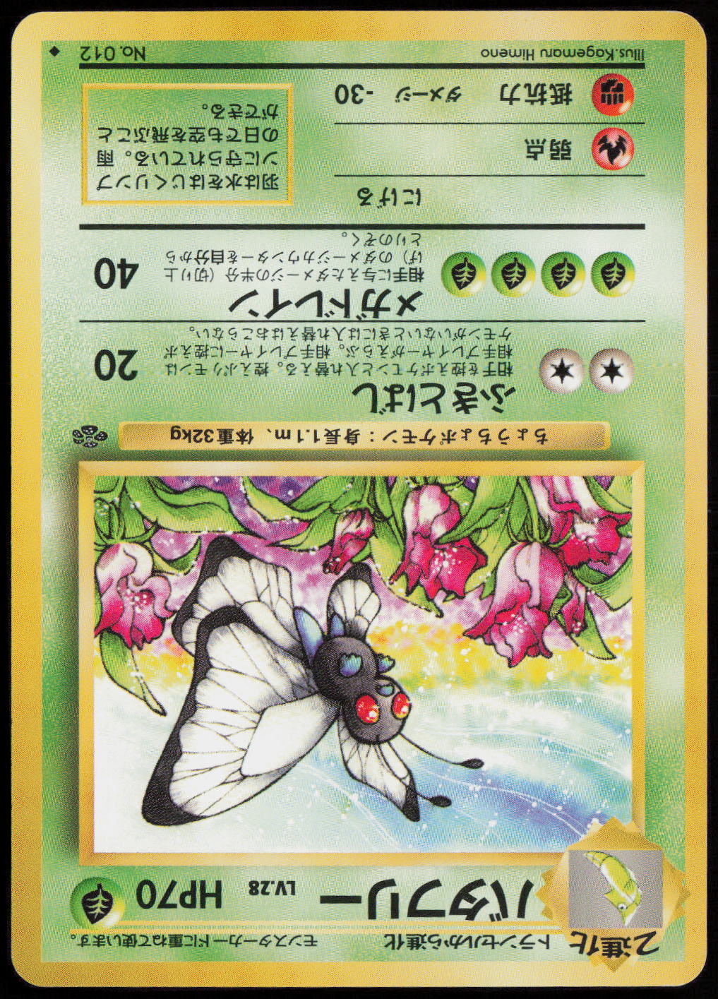 Butterfree Uncommon Pokemon Jungle  NM
