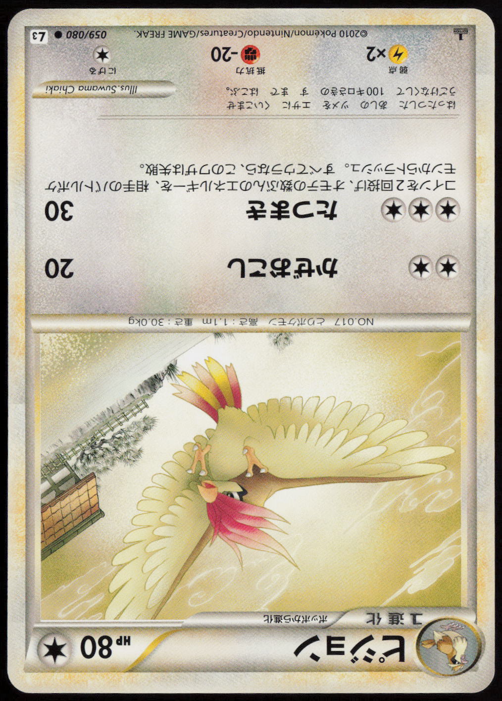 Pidgeotto Common L3: Clash at the Summit 059/080 LP