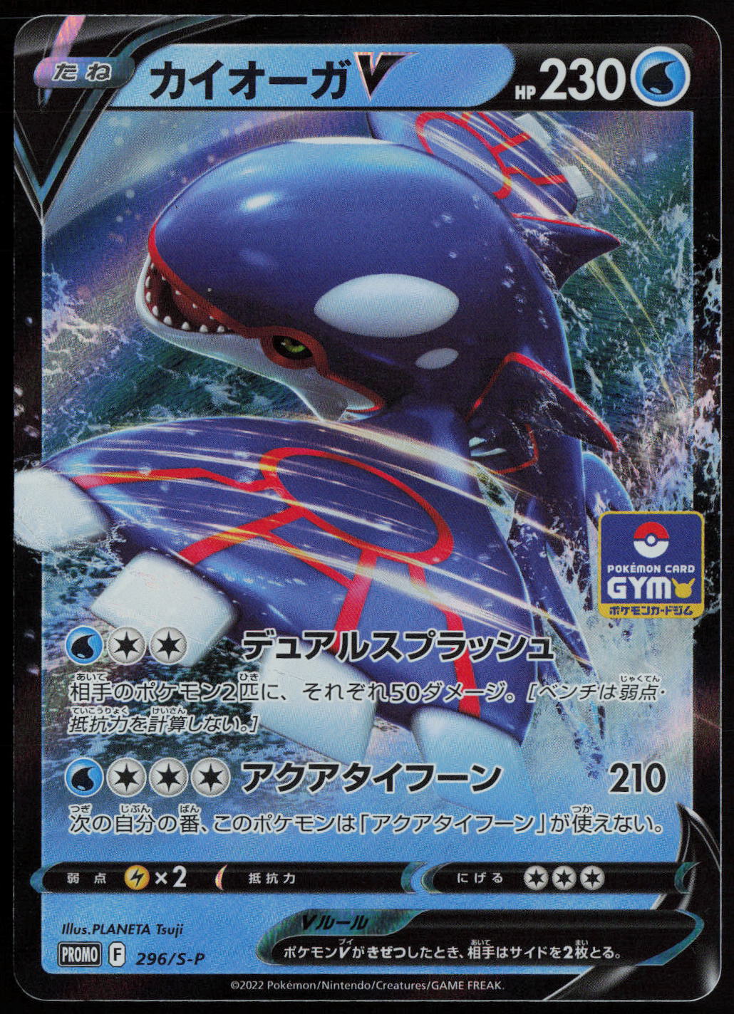 Kyogre V Common S-P: Sword & Shield Promos 296/S-P NM