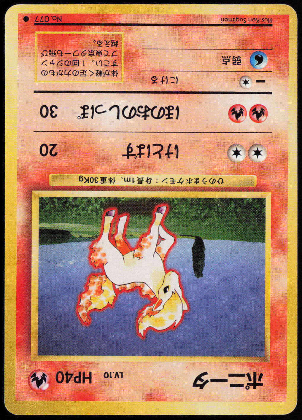 Ponyta Common Expansion Pack  NM