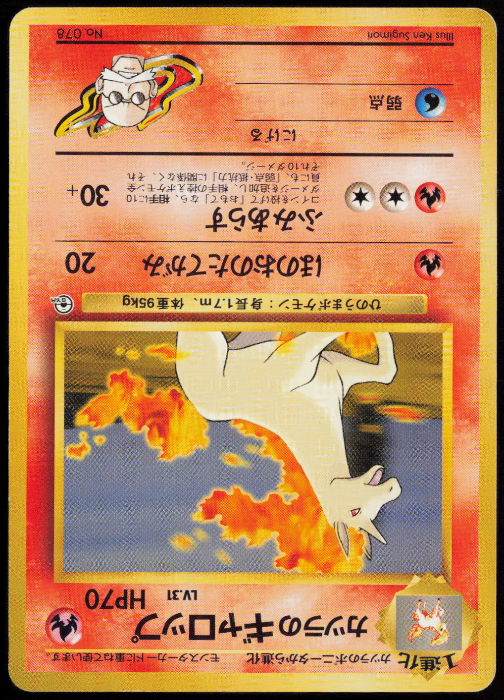 Blaine's Rapidash  City Gym Decks  LP