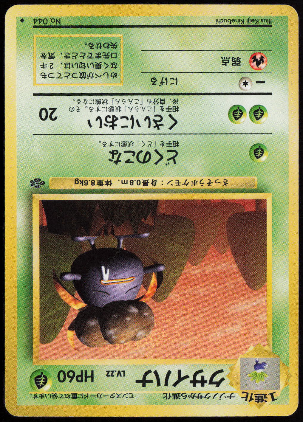 Gloom Uncommon Pokemon Jungle  LP