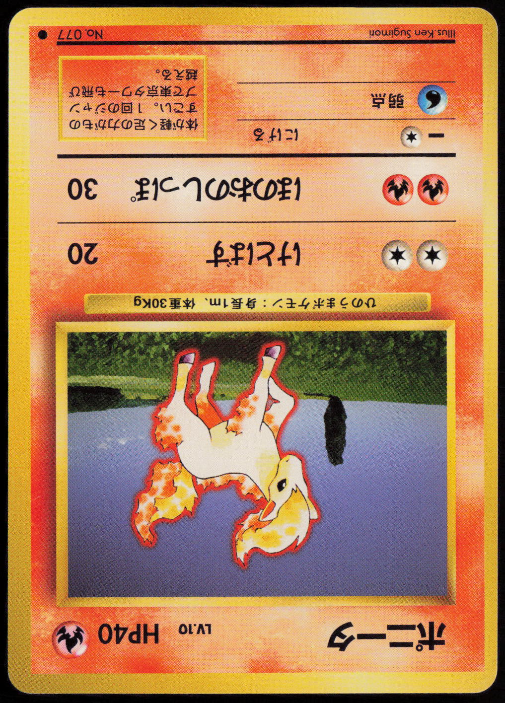 Ponyta Common Expansion Pack  NM