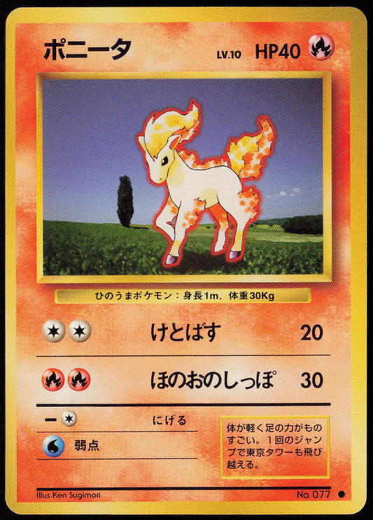 Ponyta Common Expansion Pack  NM