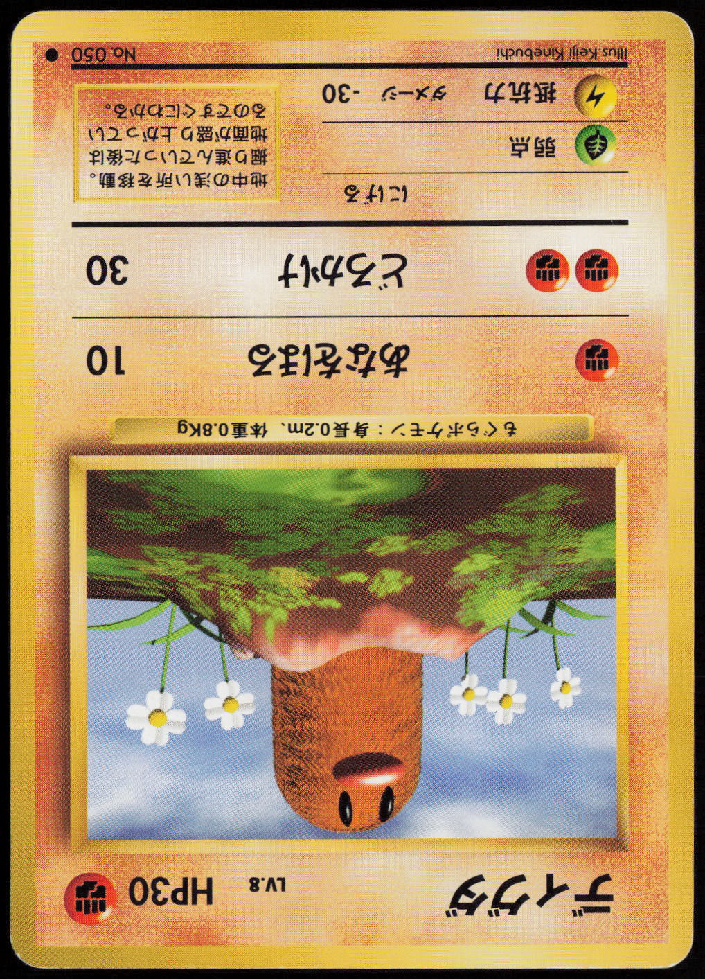Diglett Common Expansion Pack  NM
