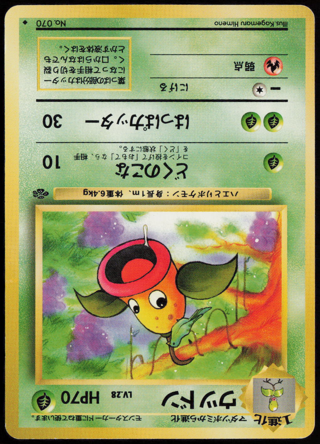 Weepinbell Uncommon Pokemon Jungle  LP