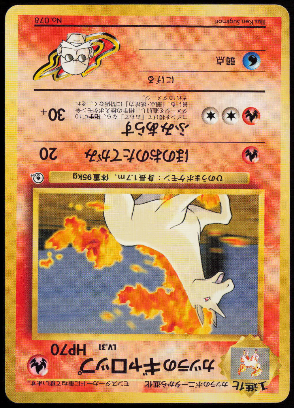Blaine's Rapidash  City Gym Decks  LP
